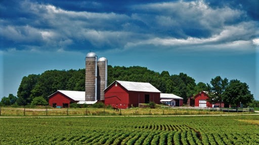 GIES RINP Rural Immigration